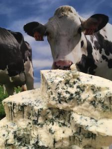 Point Reyes Blue  cheese