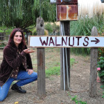 susie and the walnut sign