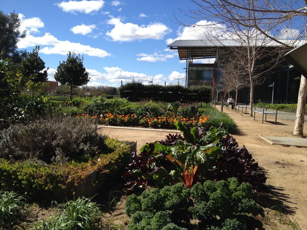Gardens at Robert Mondavi Institute at UC Davis