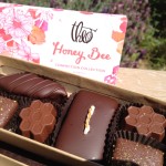 Theo Chocolate Honey Bee confections box