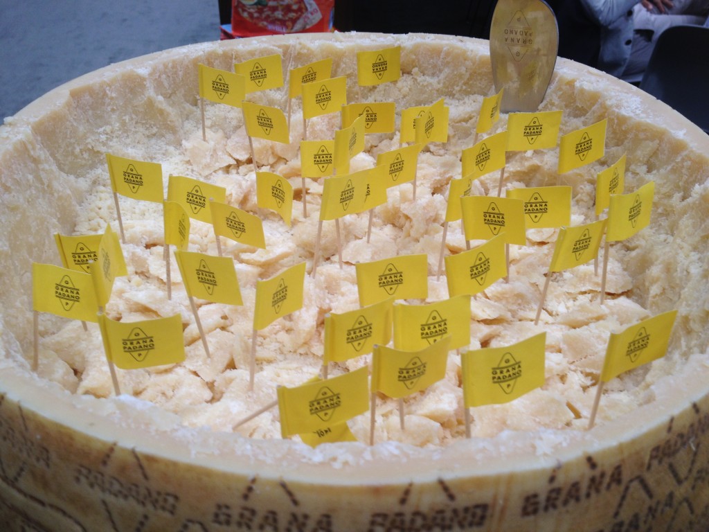 huge Grana Padano cheese wheel for sampling