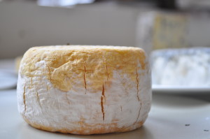 artisan cheese