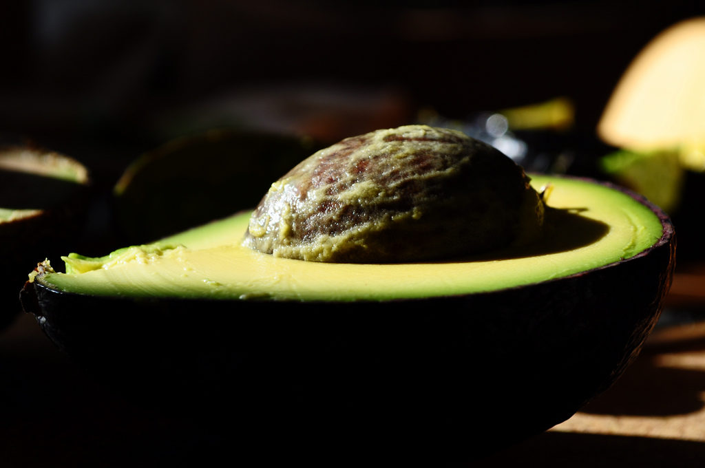 beautiful avocado photo