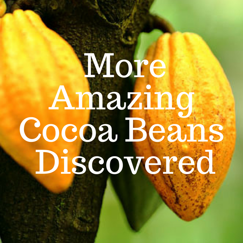 2018 Heirloom Cacao Project Designations