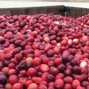 American grown cranberries