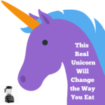 the Vitamix blender is a true appliance unicorn